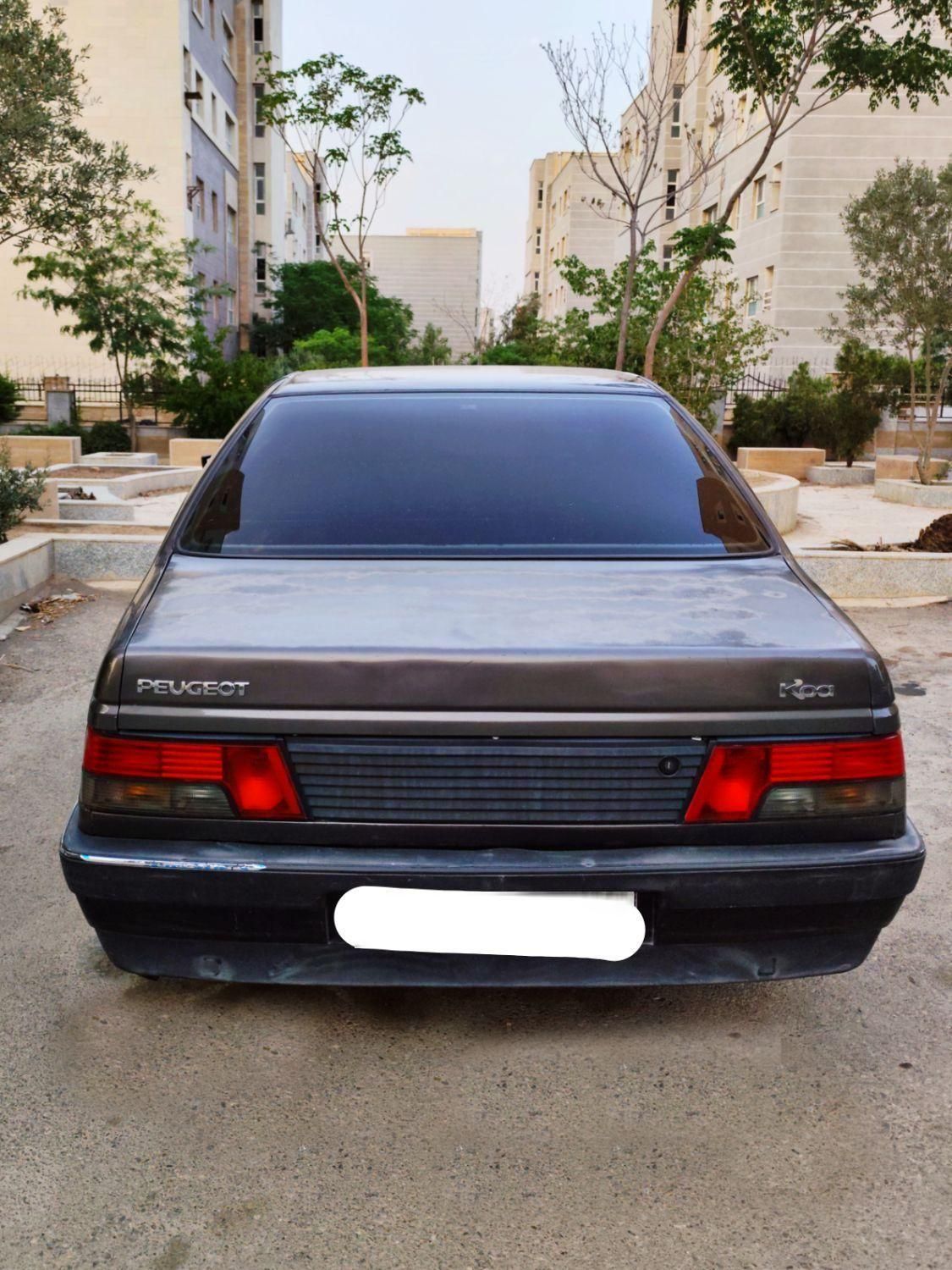 پژو روآ دوگانه سوز - 1387