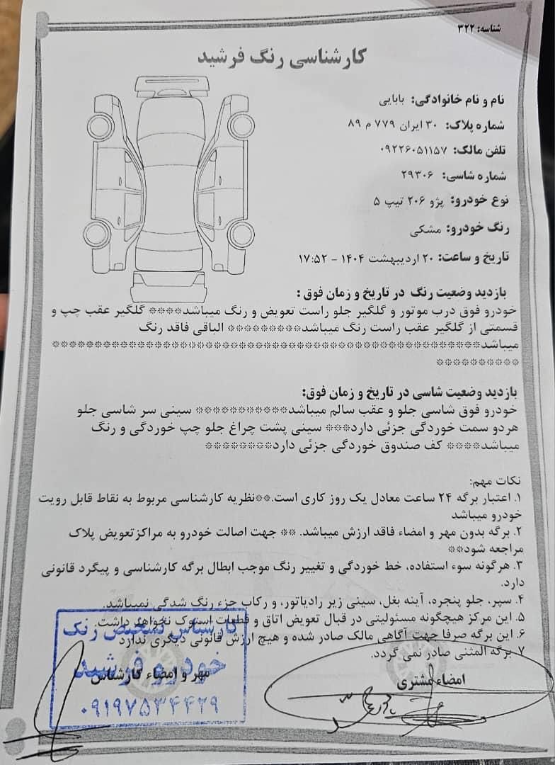پژو 206 تیپ 5 - 1394