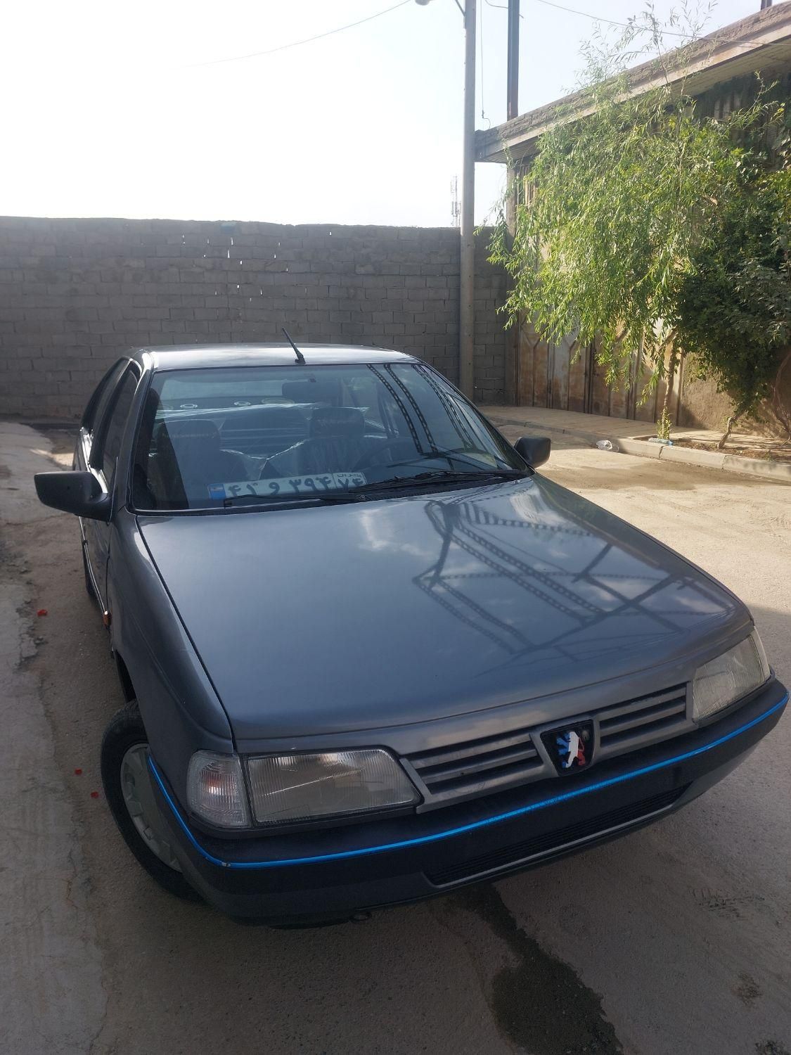 پژو 405 GL - دوگانه سوز CNG - 1372