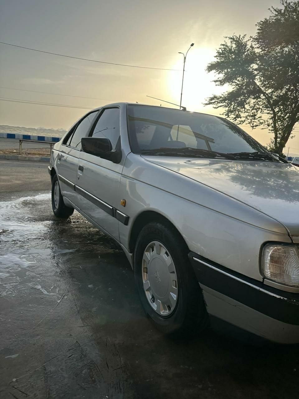 پژو 405 GLX - دوگانه سوز - 1391