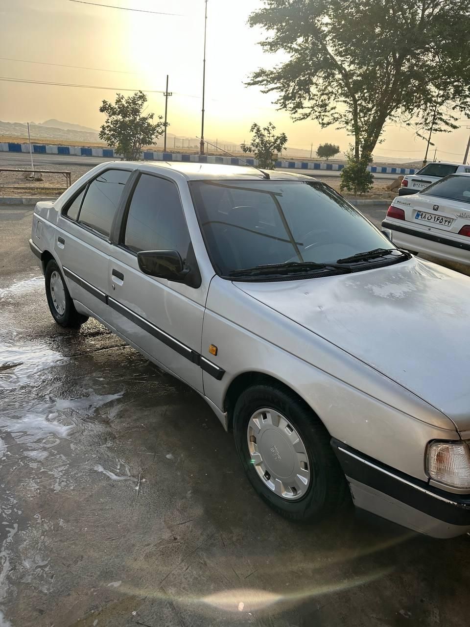 پژو 405 GLX - دوگانه سوز - 1391