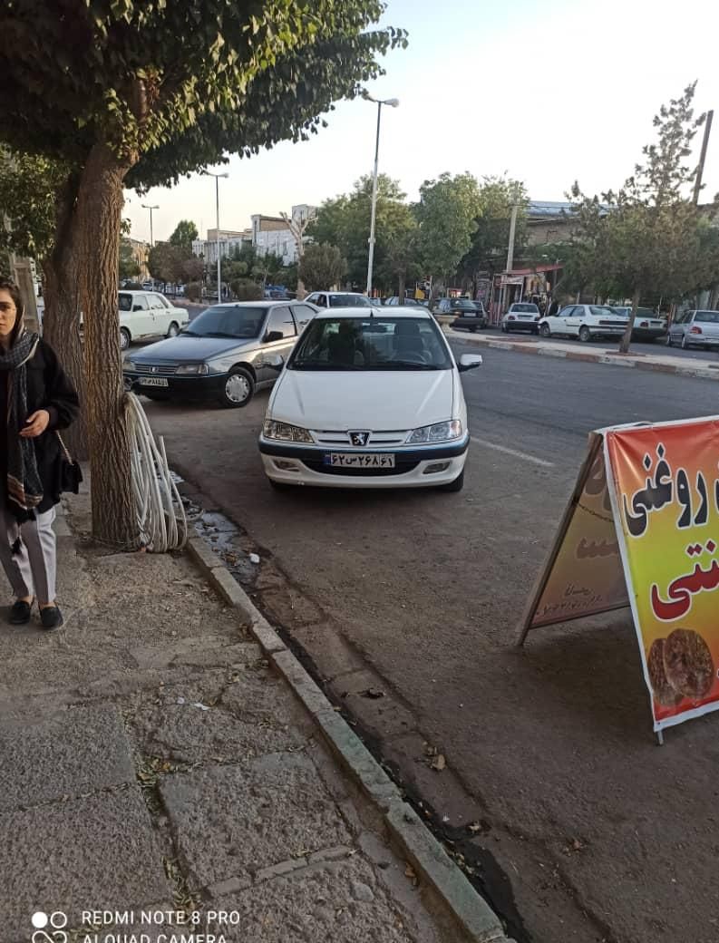 پژو پارس سال - 1391