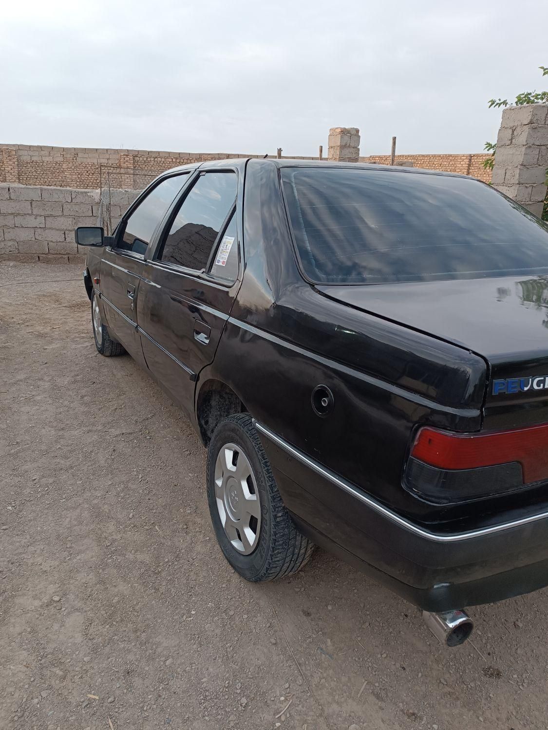 پژو 405 GL - دوگانه سوز CNG - 1373