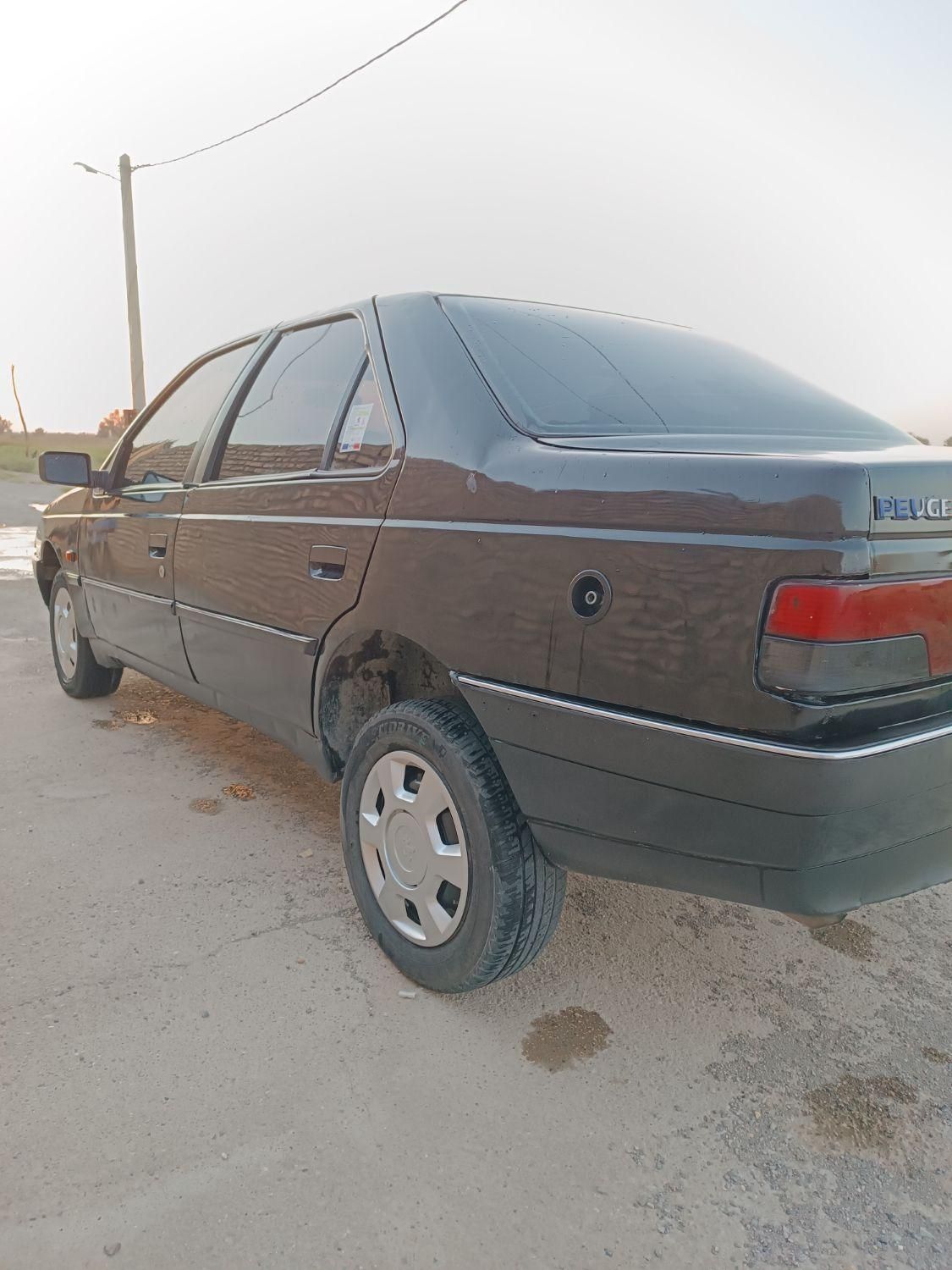 پژو 405 GL - دوگانه سوز CNG - 1373