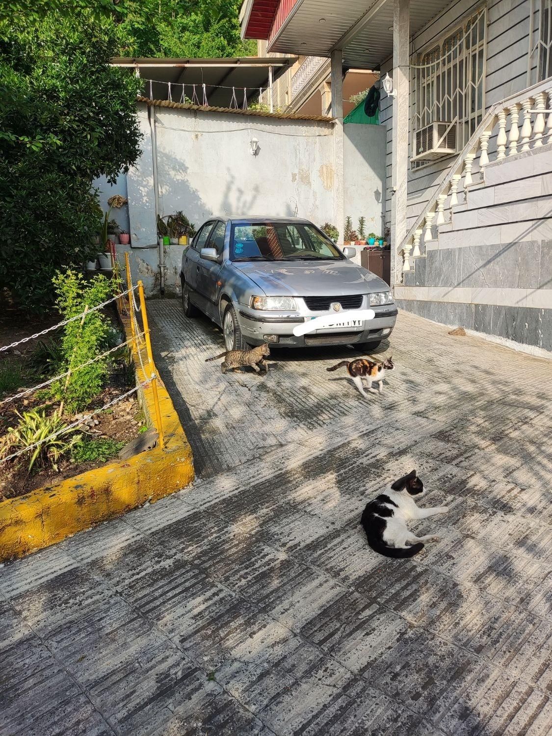 خودرو سمند، X7 آگهی ann_18042398