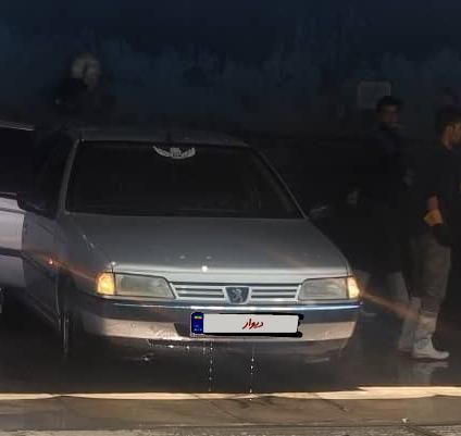 پژو 405 GLX - 1388