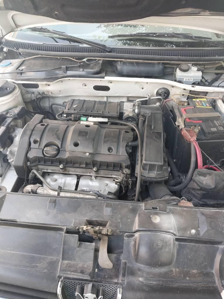 پژو 405 SLX بنزینی TU5 - 1395