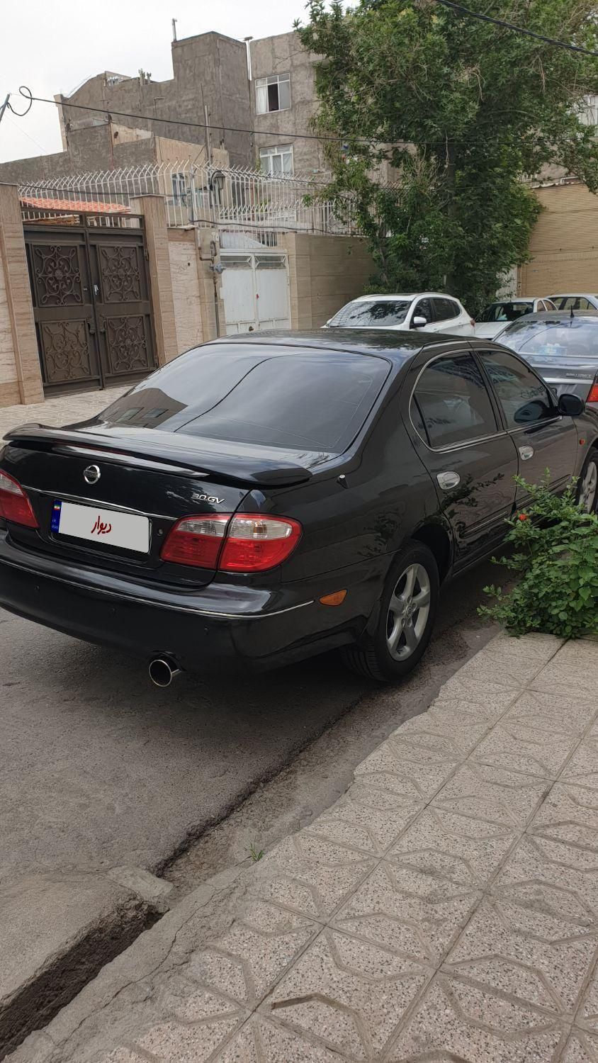خودرو نیسان، ماکسیما آگهی ann_18049089