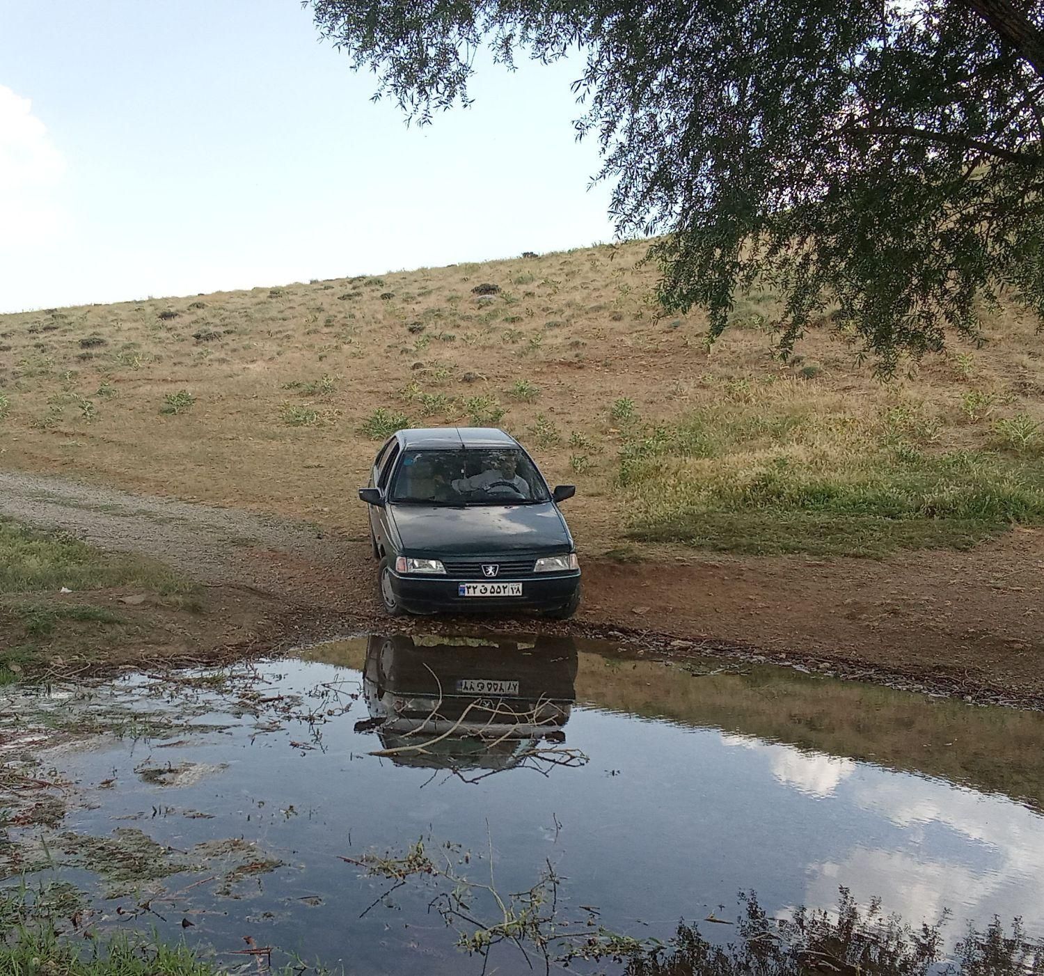 پژو آردی RDI - 1384