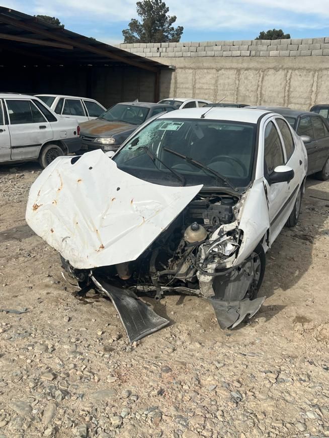 پژو 206 SD v8 - 1394