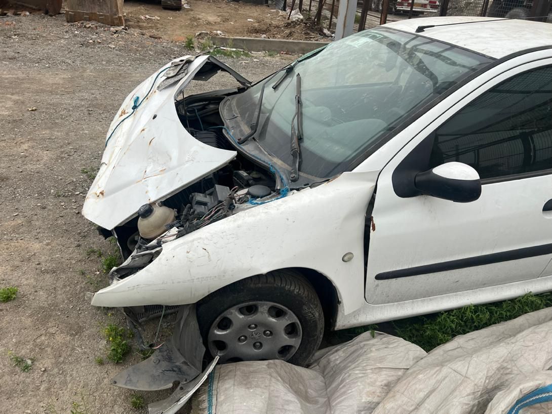 پژو 206 SD v8 - 1394