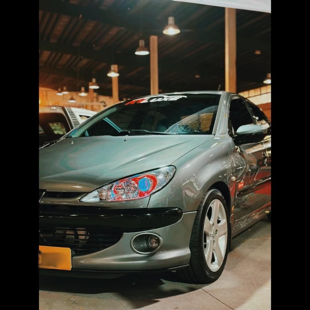پژو 206 SD v8 - 1388