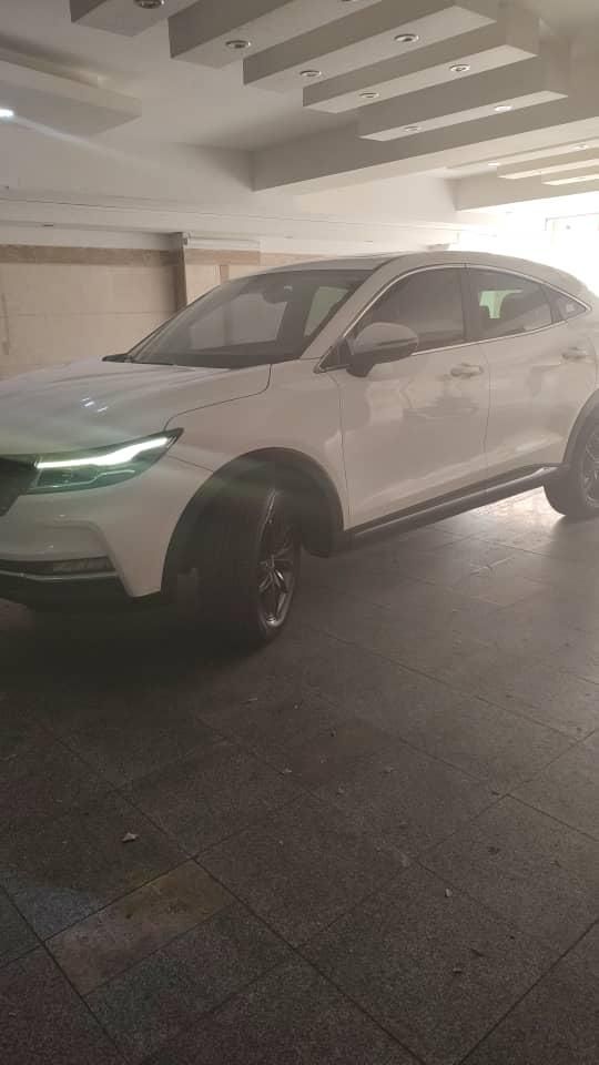 دیگنیتی پرایم - - 2022