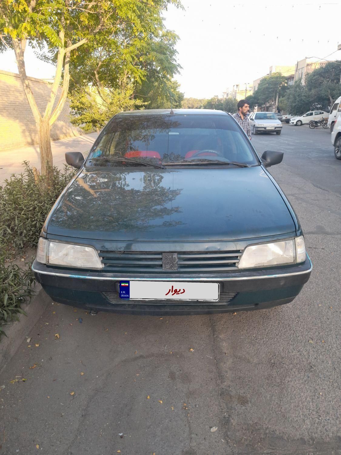 پژو آردی دوگانه سوز LPG - 1382