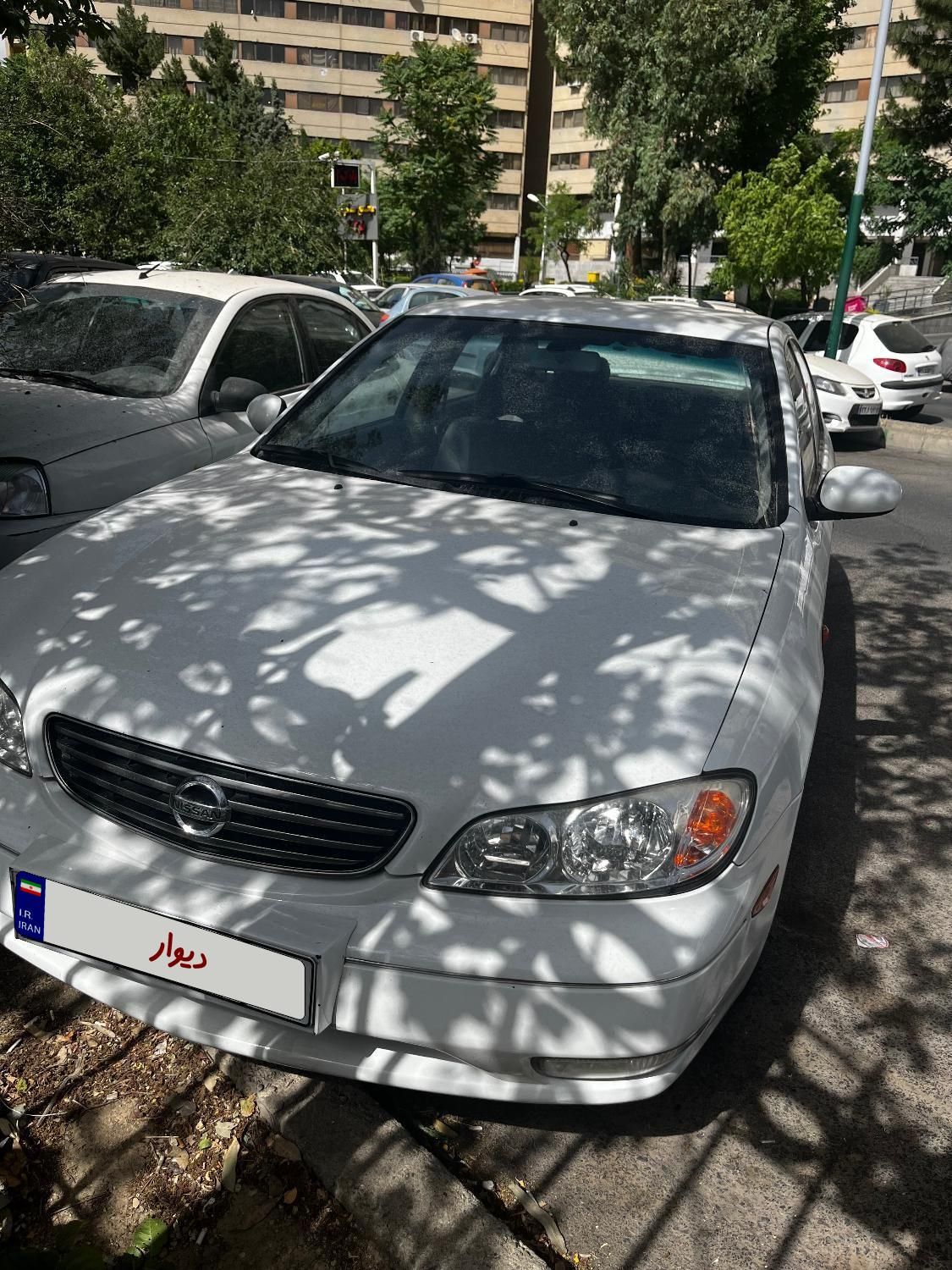 خودرو نیسان، ماکسیما آگهی ann_18068224