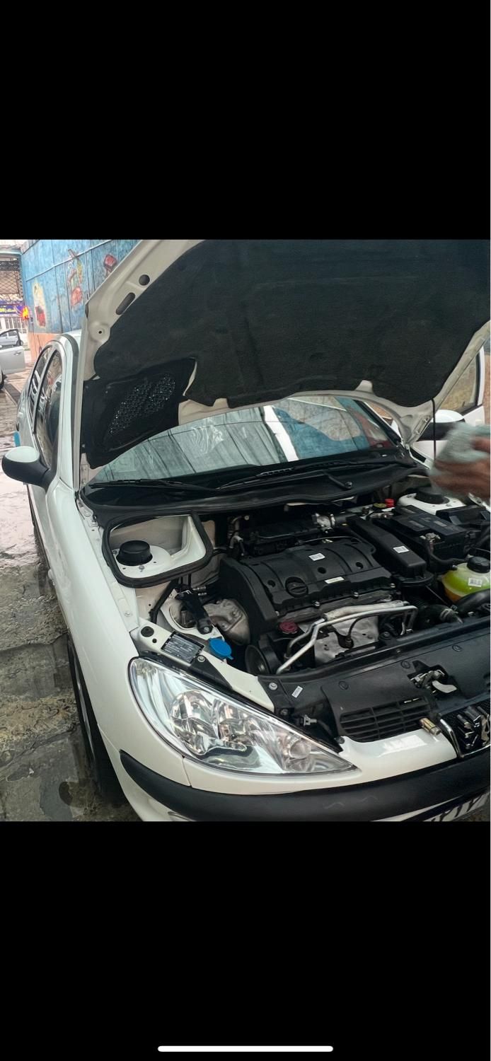 پژو 206 SD v8 - 1391