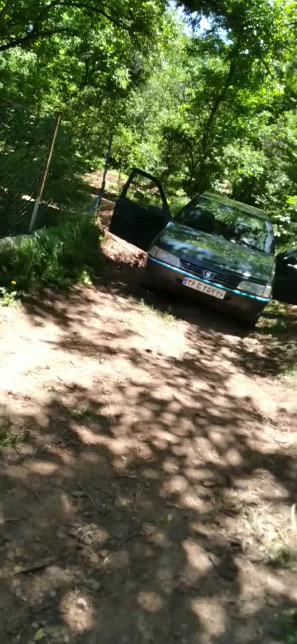 پژو 405 GLI - 1383
