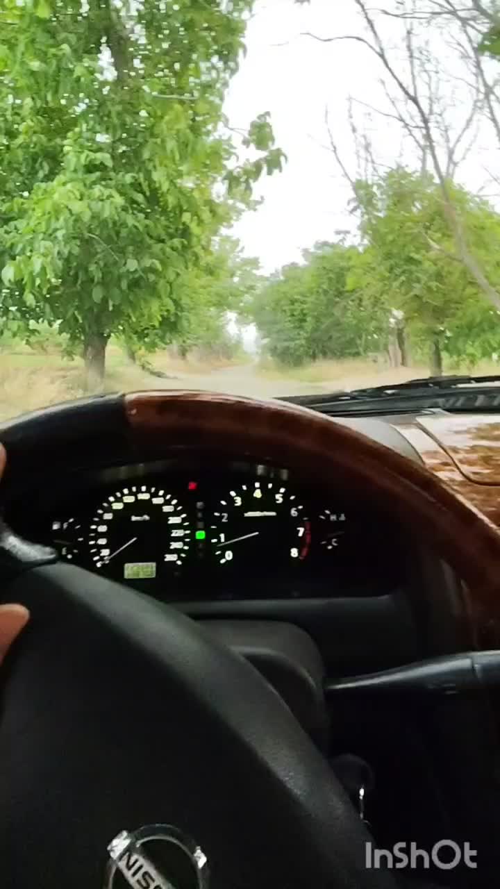 خودرو نیسان، ماکسیما آگهی ann_18078693