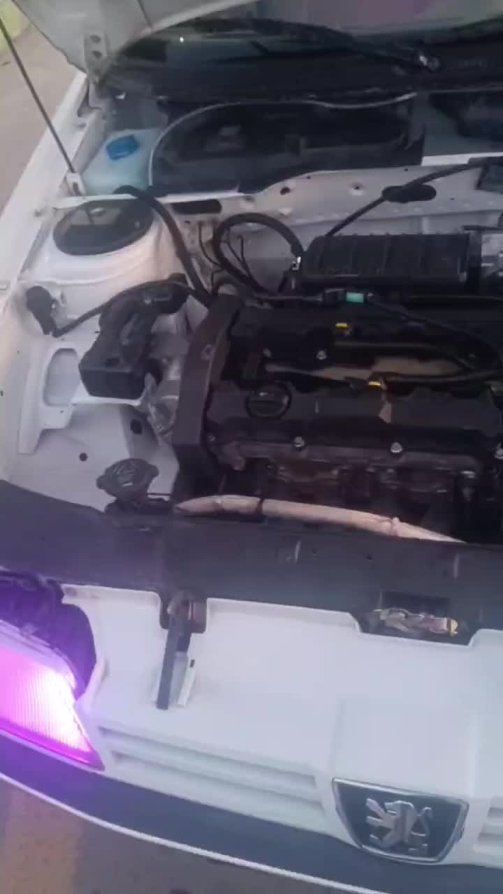 پژو 405 دوگانه سوز GLX - TU5 - 1390