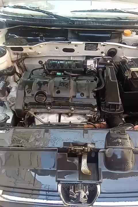 خودرو پژو، 405 آگهی ann_18081243