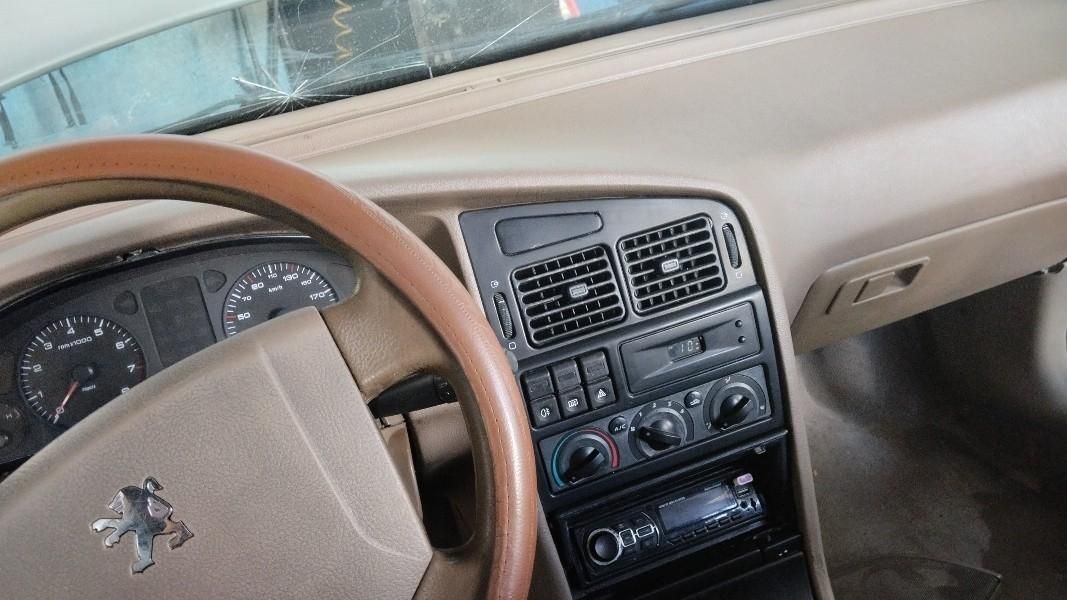پژو 405 GLX - دوگانه سوز - 1391