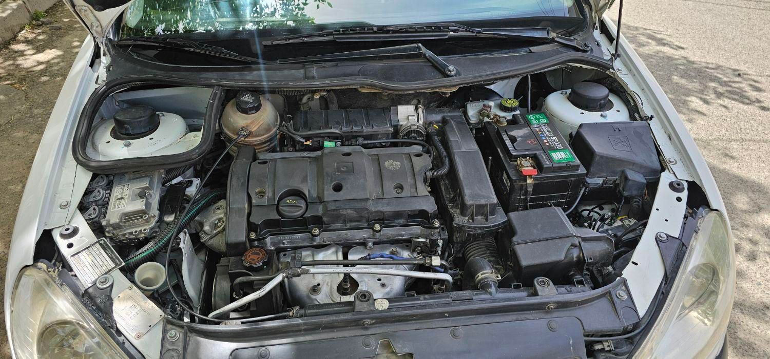 پژو 206 SD v8 - 1391