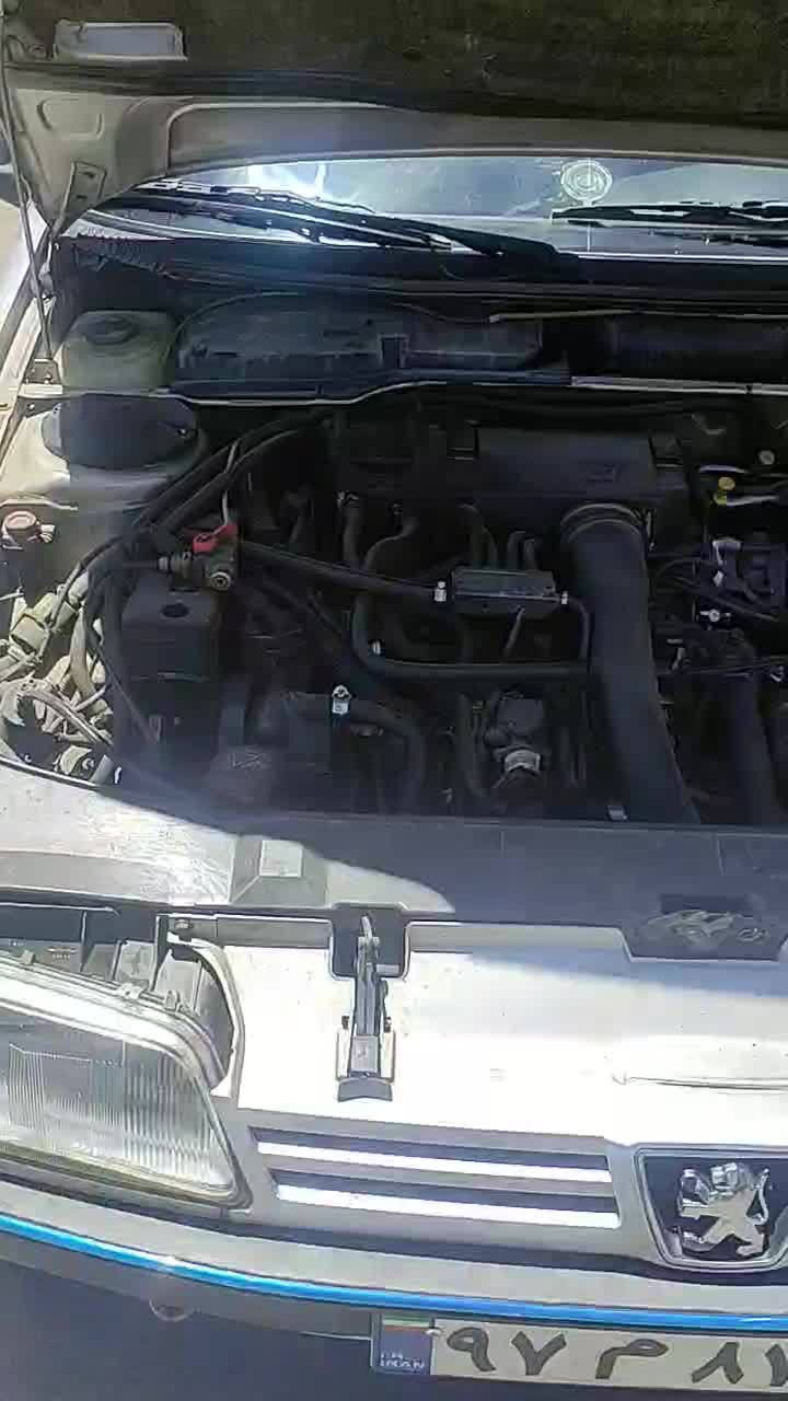 پژو 405 GLX - دوگانه سوز - 1386