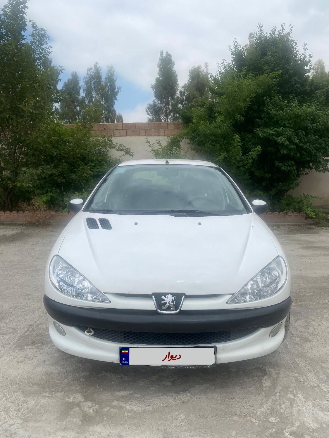 پژو 206 SD v8 - 1394