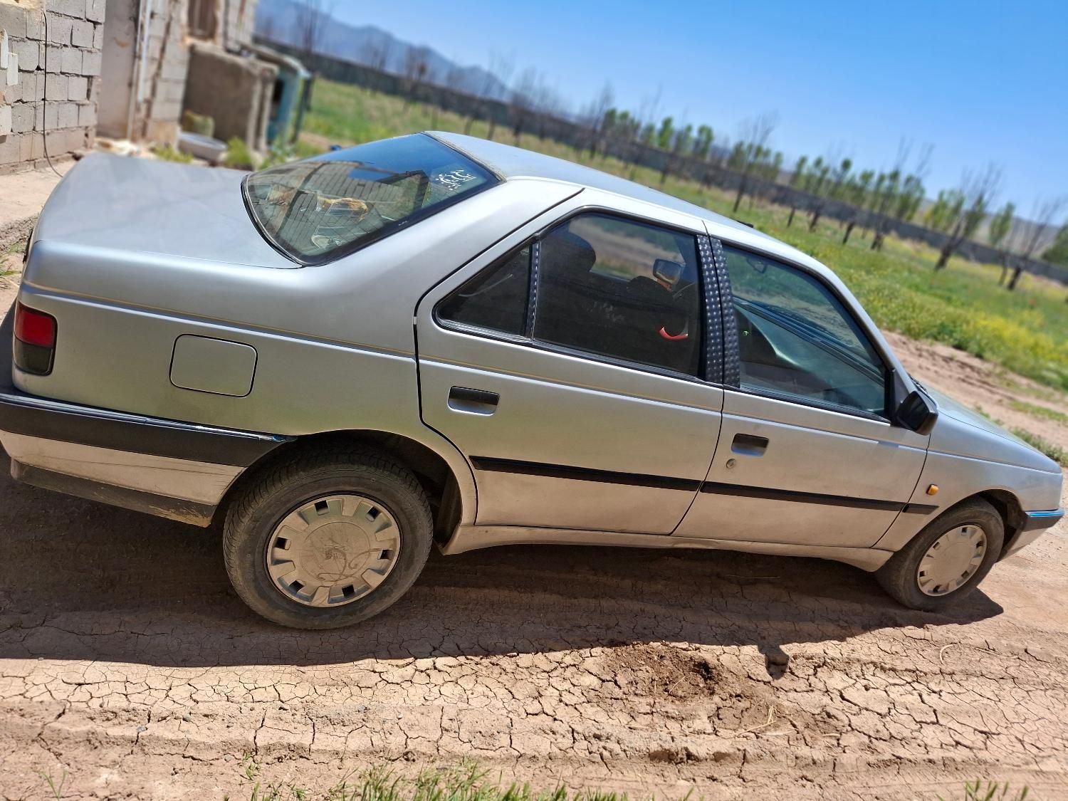 پژو 405 GLX - دوگانه سوز - 1385
