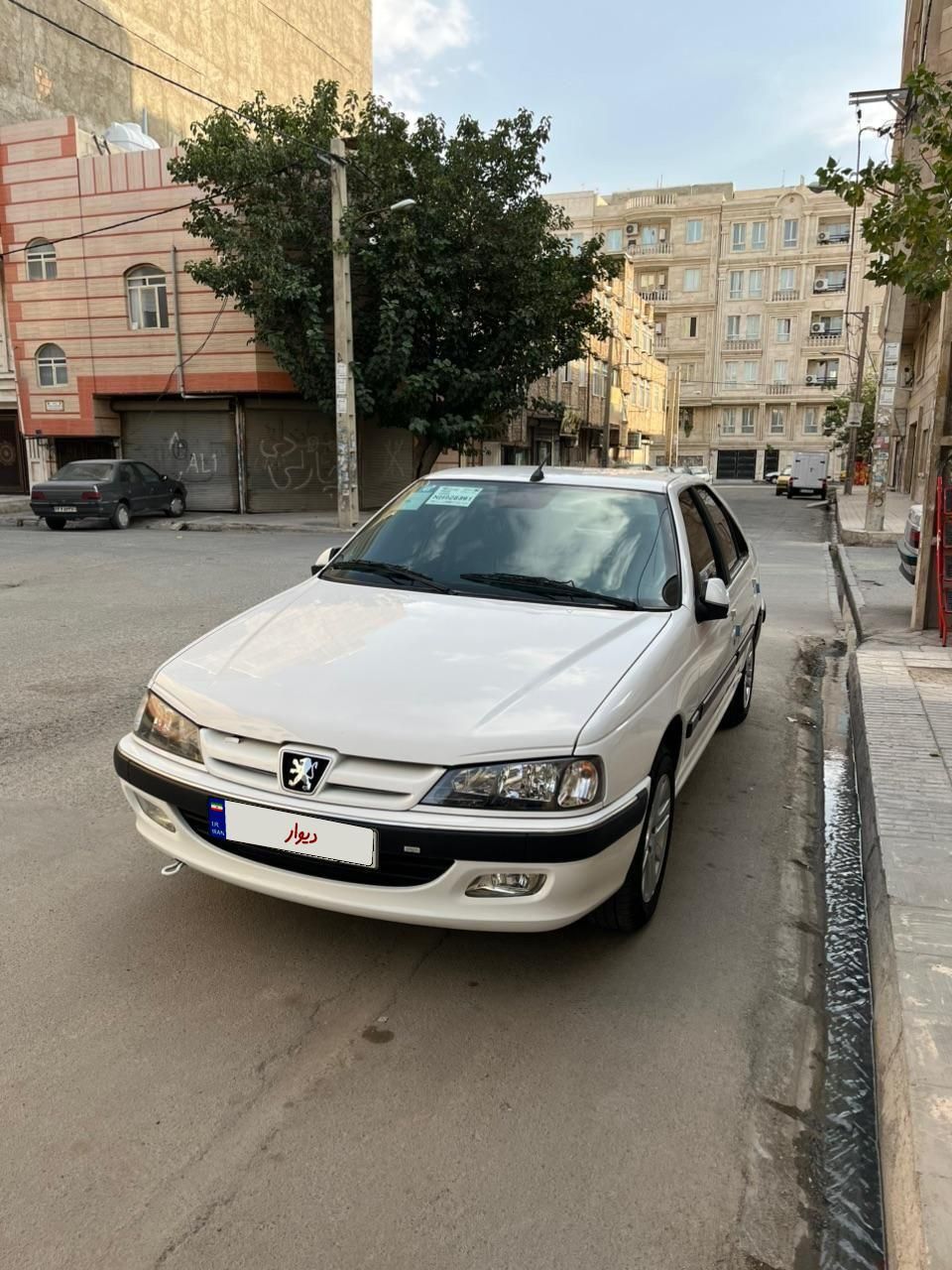 پژو پارس ELX-XU7P سفارشی - 1401