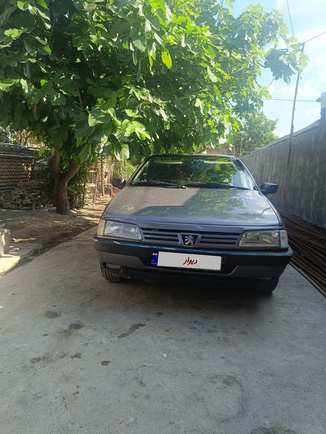 پژو 405 GLX - دوگانه سوز - 1391