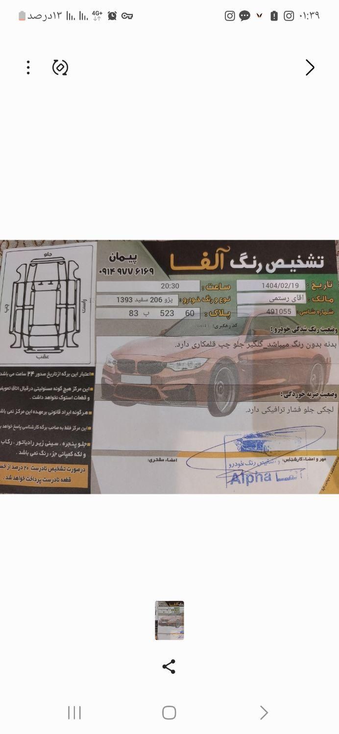 پژو 206 تیپ 5 - 1393