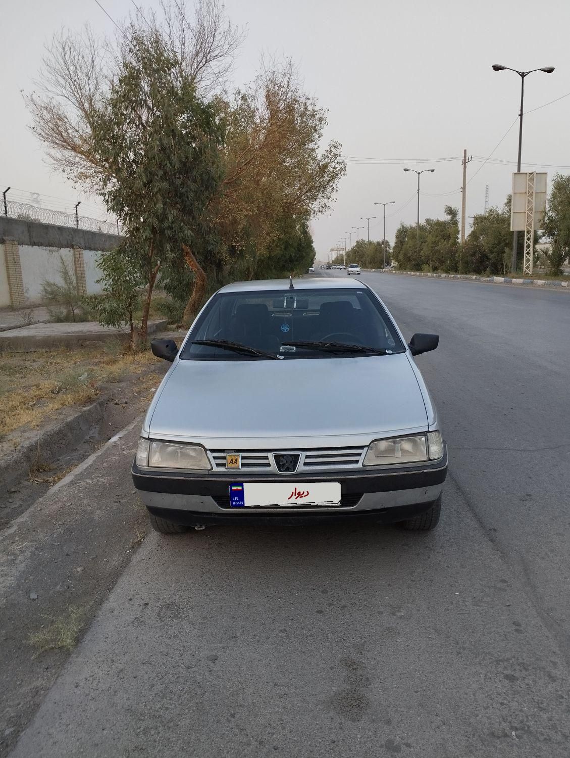 پژو 405 GLX - دوگانه سوز - 1389