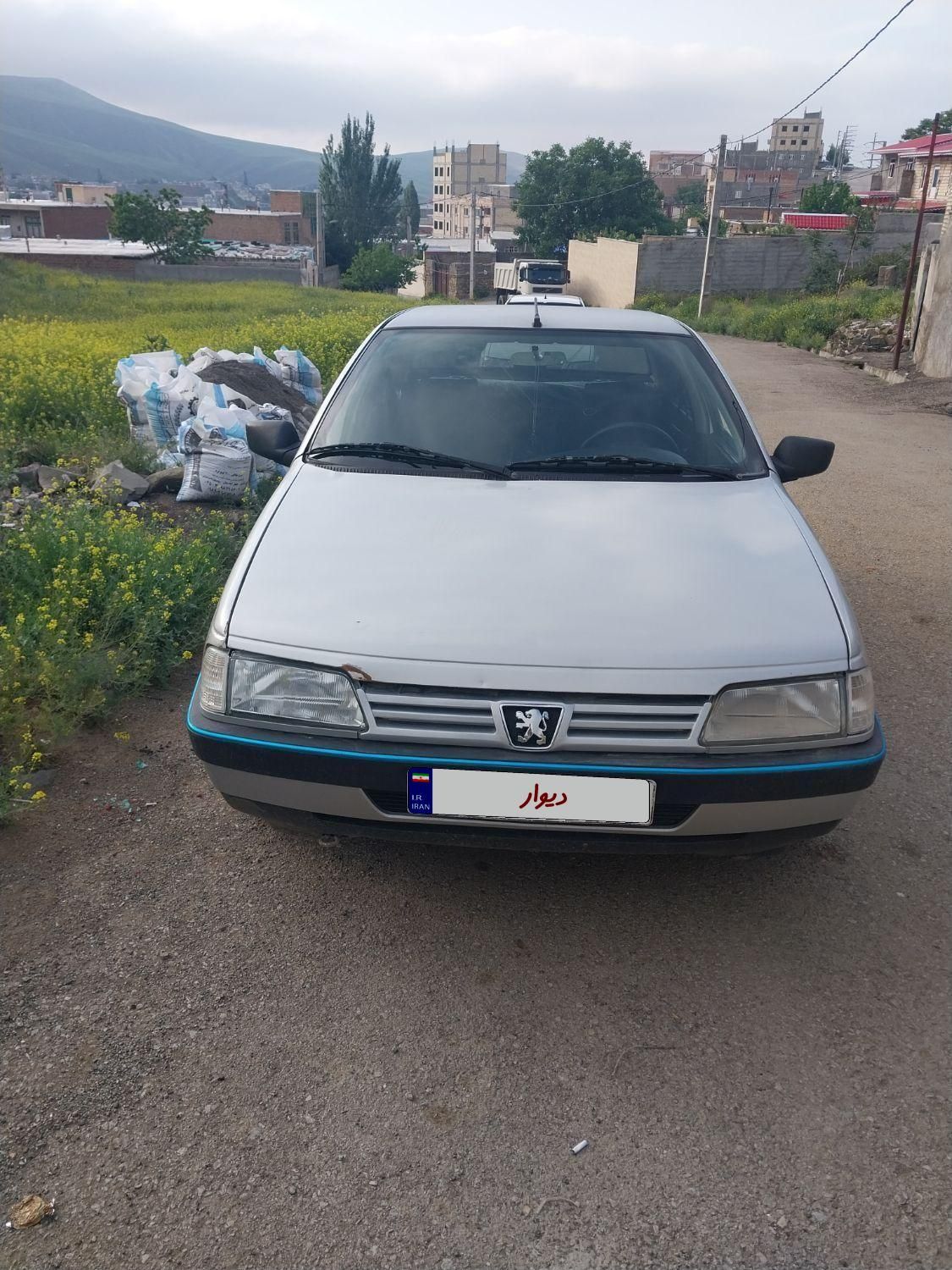 پژو 405 GLX - 1384