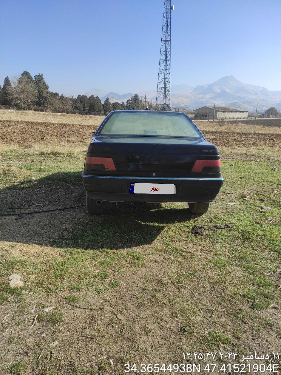 پژو 405 GLX - دوگانه سوز - 1393