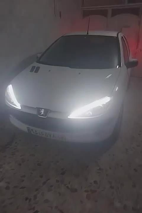 پژو 206 SD v8 - 1391