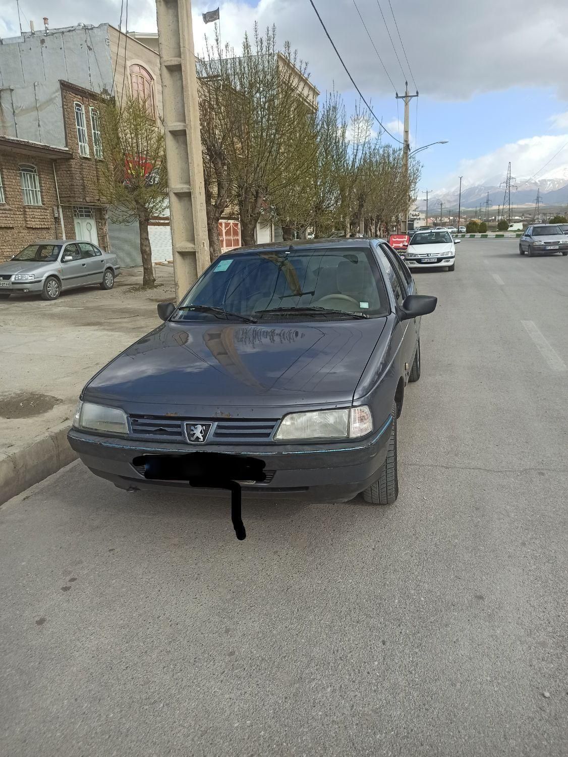 خودرو پژو، 405 آگهی ann_18104977