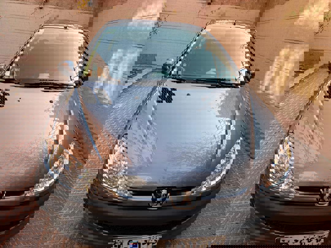 پژو 206 SD v8 - 1390