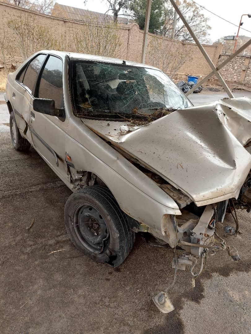 پژو 405 GLX - دوگانه سوز - 1385