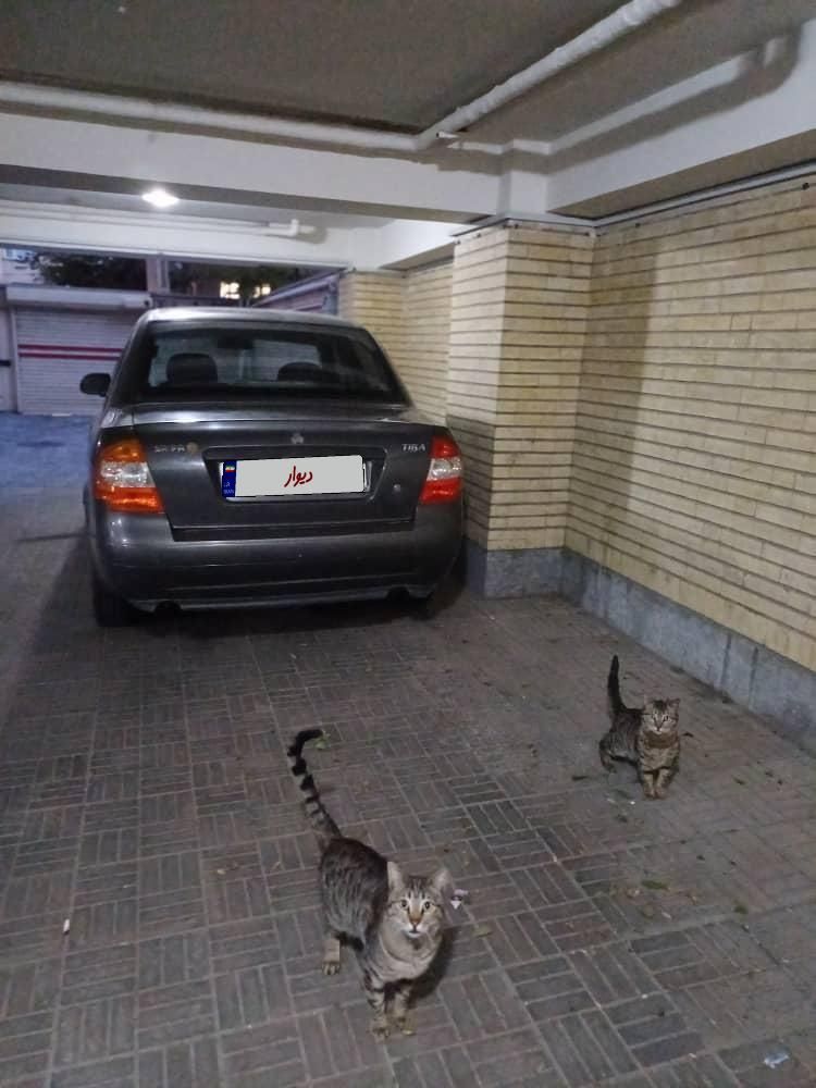 خودرو تیبا، صندوق دار آگهی ann_18111581