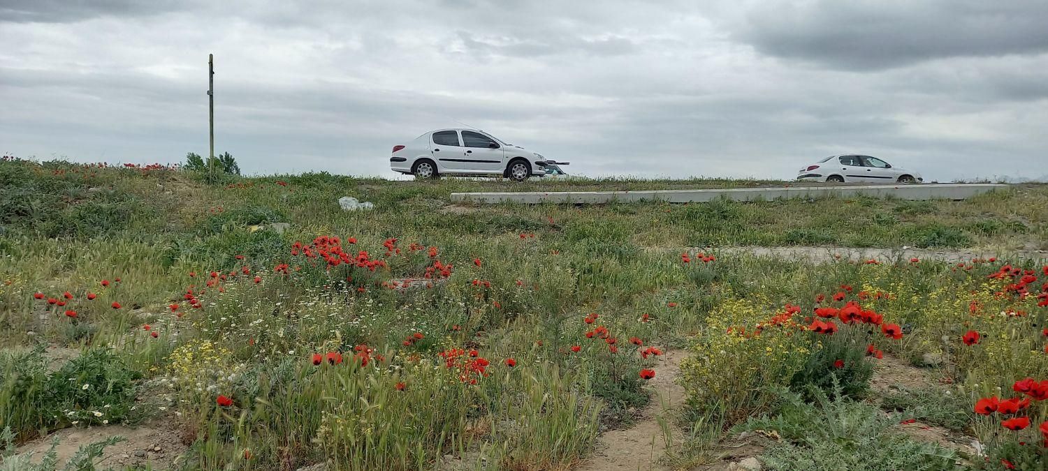 پژو 206 SD v8 - 1396