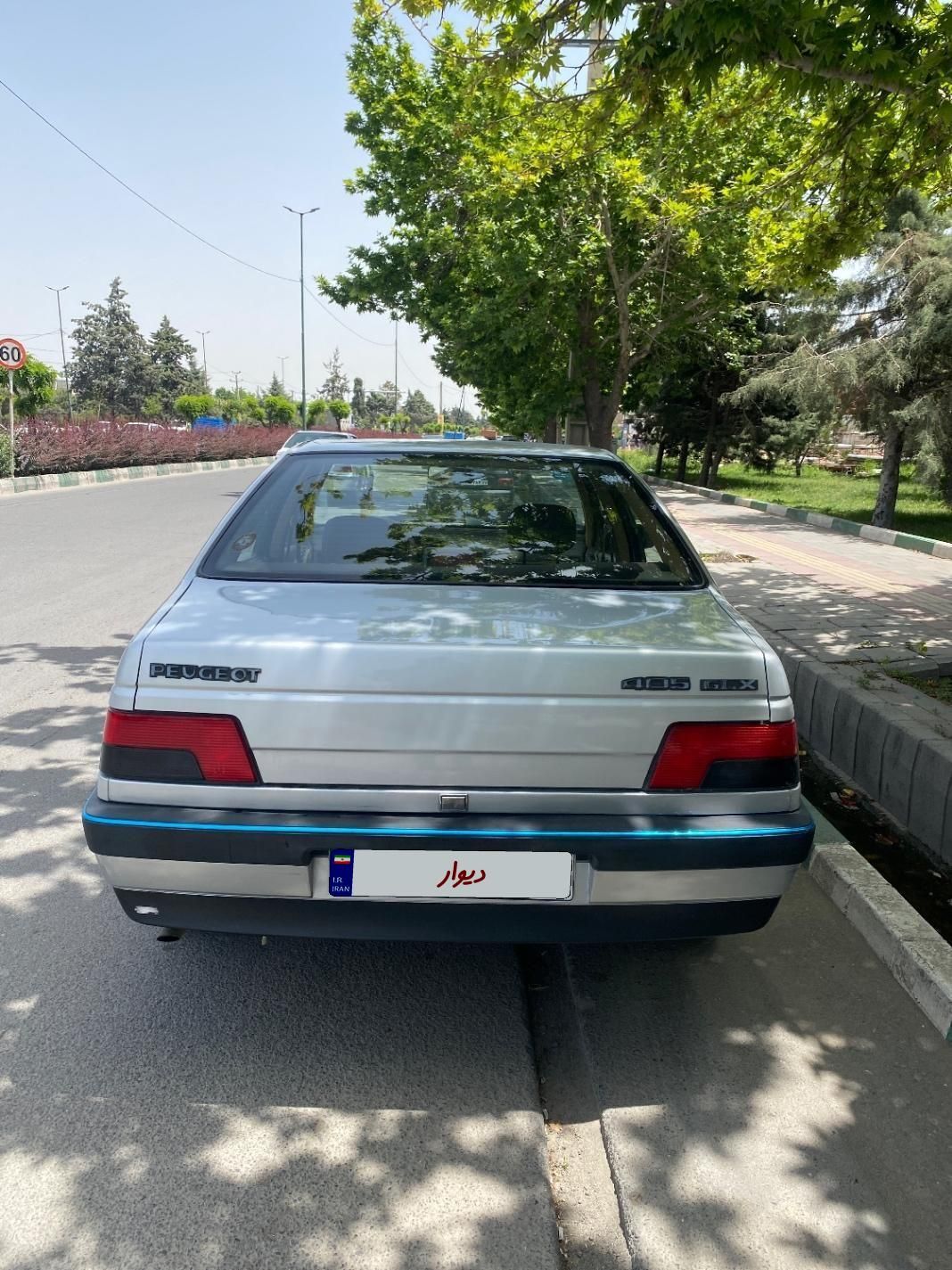 پژو 405 GLX - دوگانه سوز - 1391
