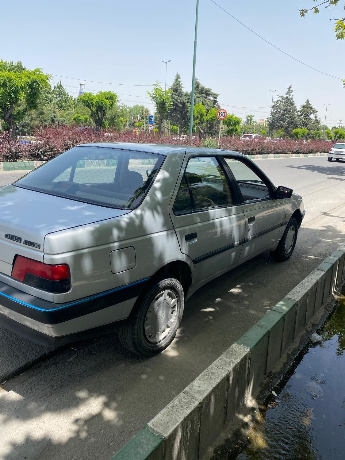 پژو 405 GLX - دوگانه سوز - 1391