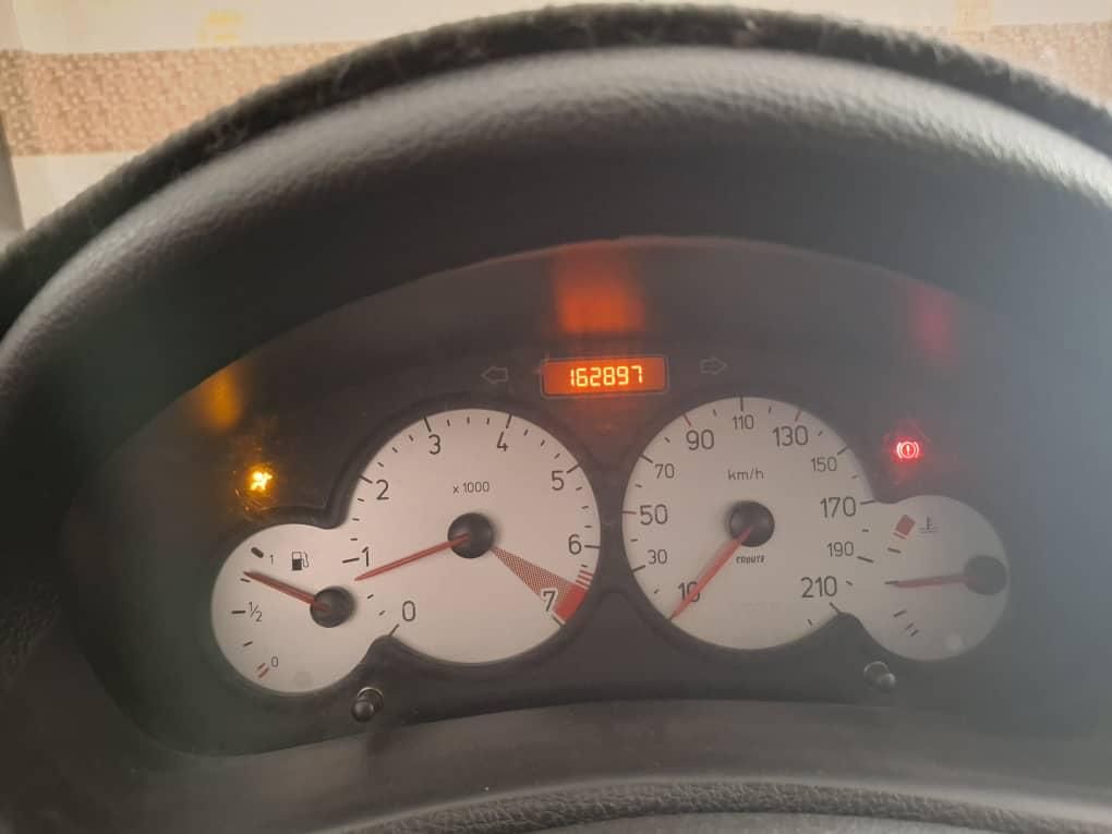 پژو 206 SD v8 - 1394