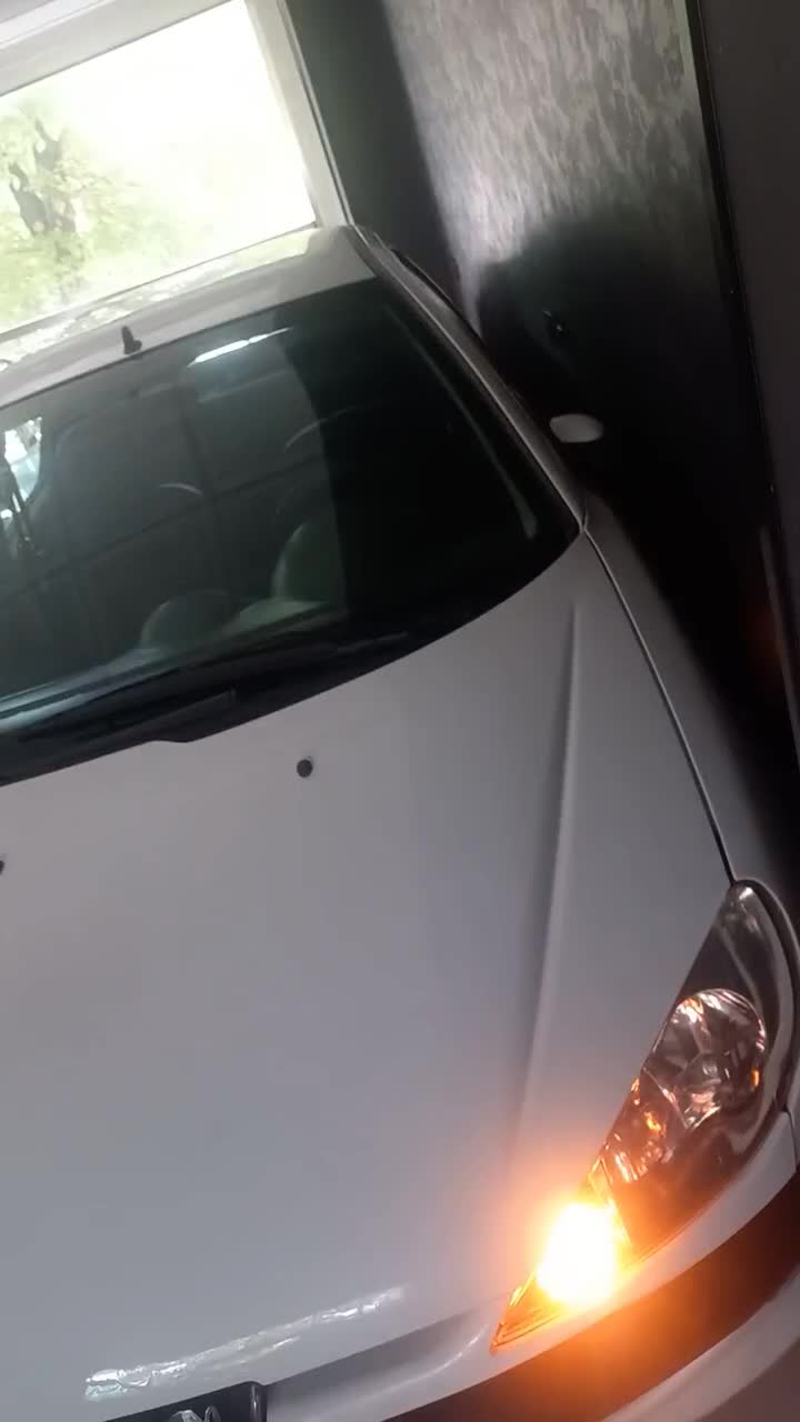 پژو 206 SD v2 - 1390