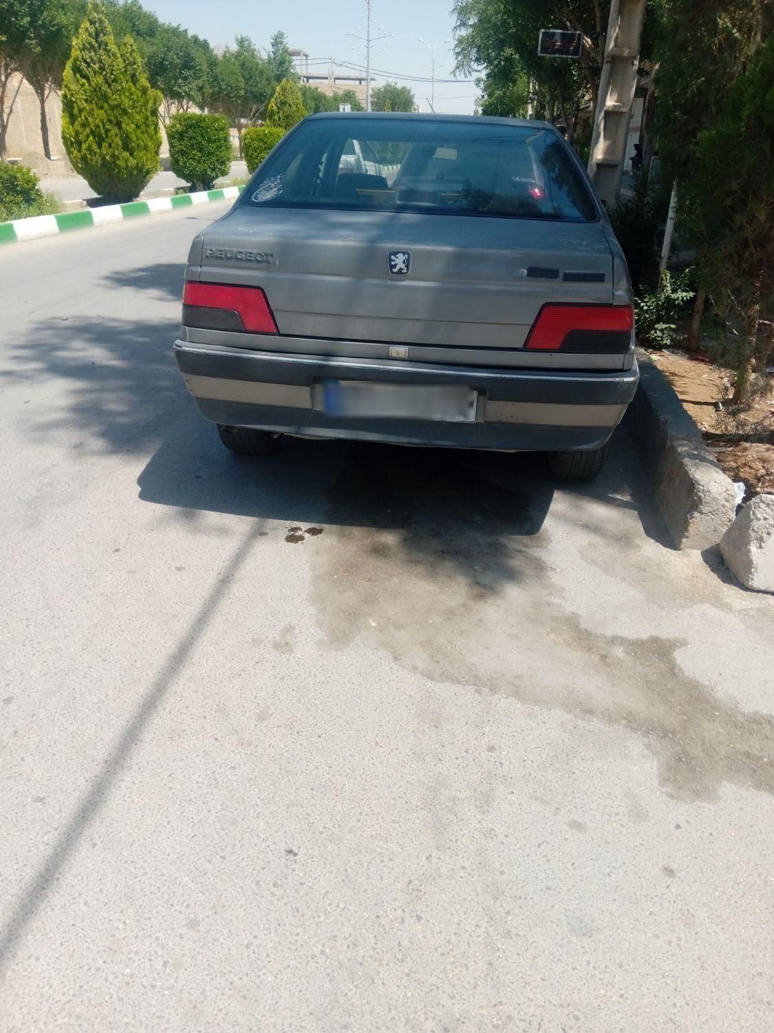 پژو 405 GLX - دوگانه سوز - 1389