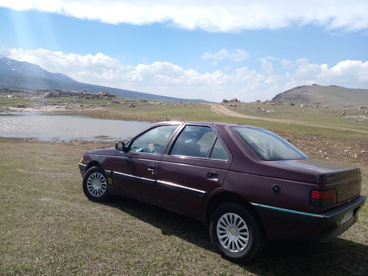 پژو 405 GLI - 1383