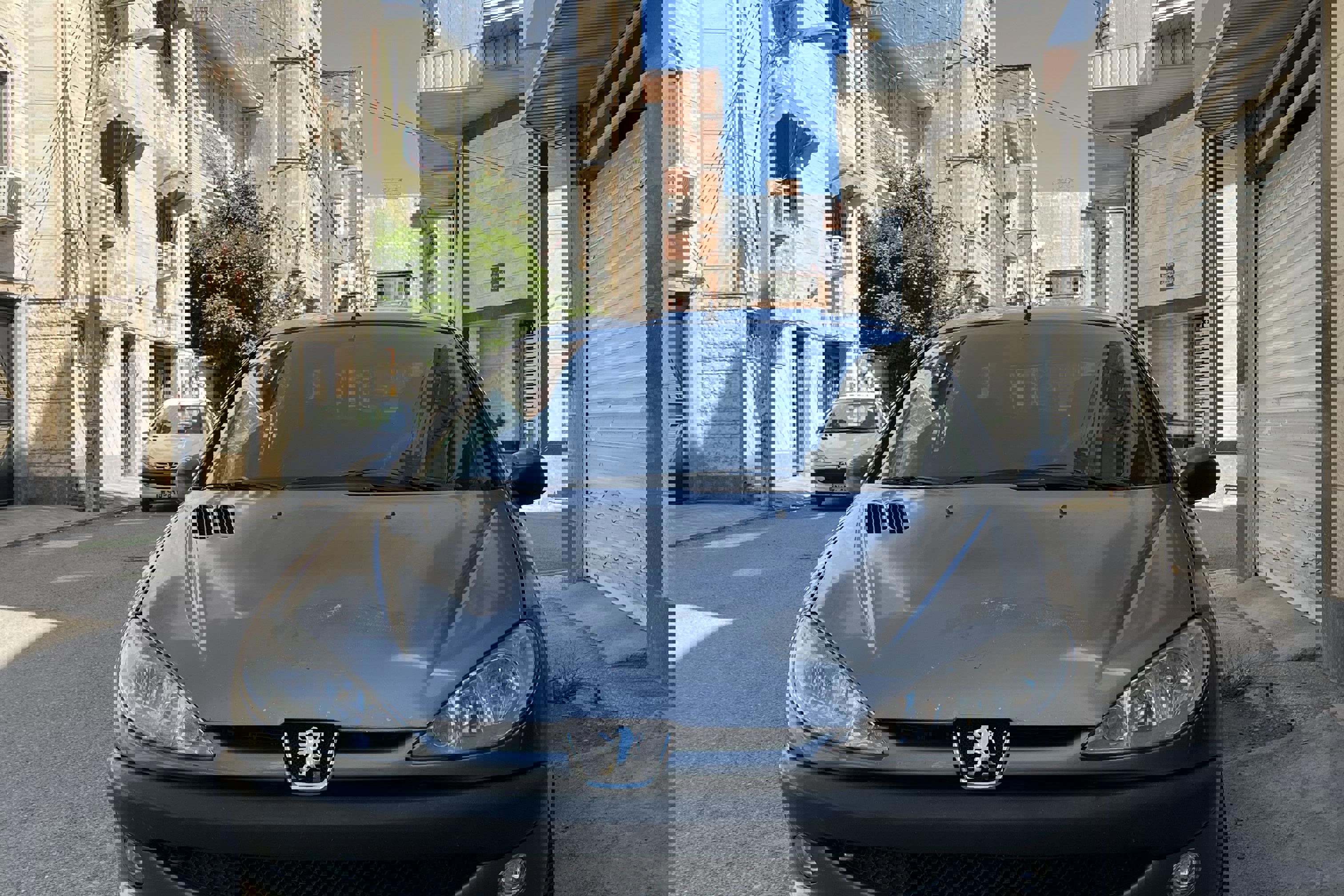 پژو 206 SD v8 - 1390