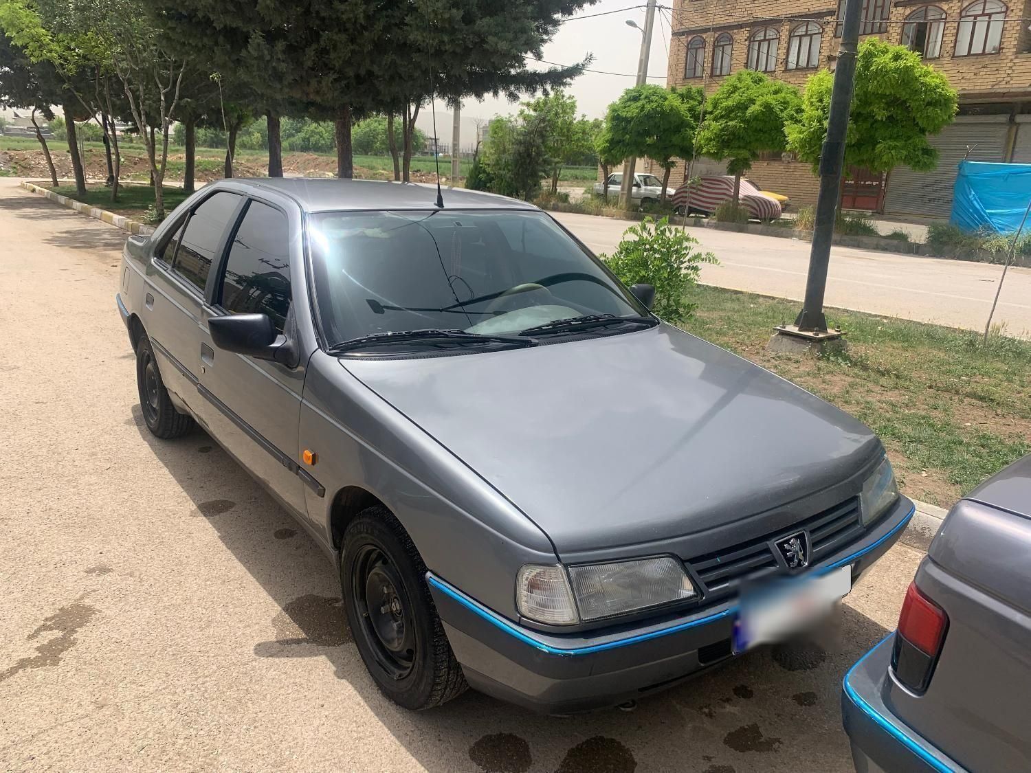 پژو 405 GL - دوگانه سوز CNG - 1369