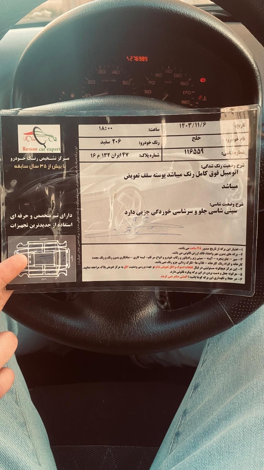 پژو 206 تیپ 2 - 1389